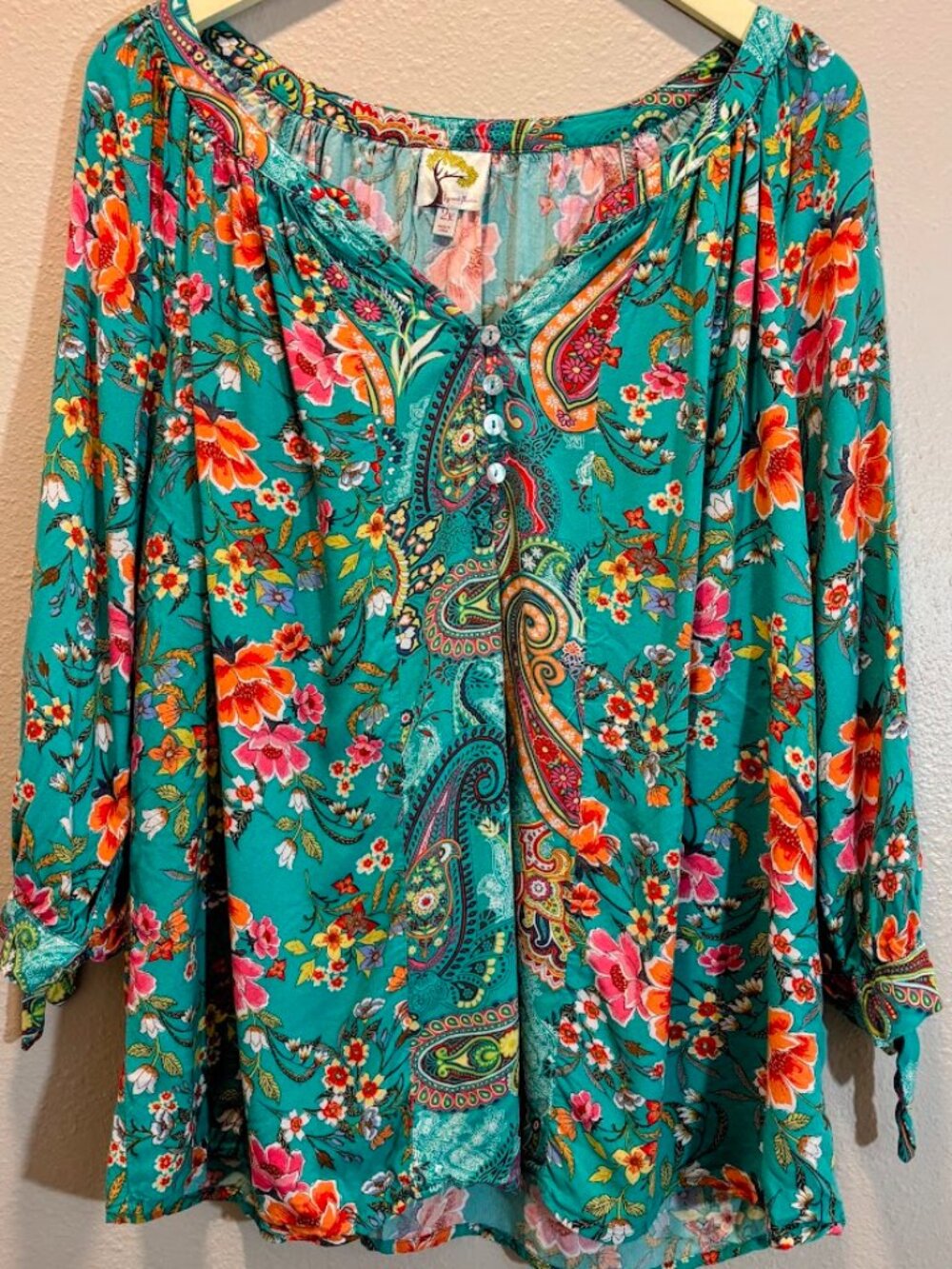 Fig & Flower Anthropologie Bold Paisley Boho Tunic Sz 2X Top Teal Multi Peasant
